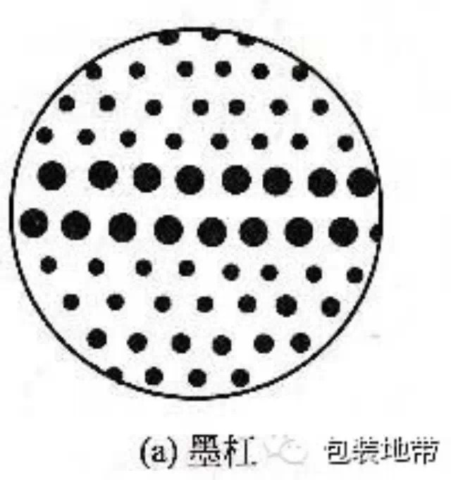 胶印技术：浅析墨杠产生的原因及消除方法